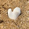 ashreine